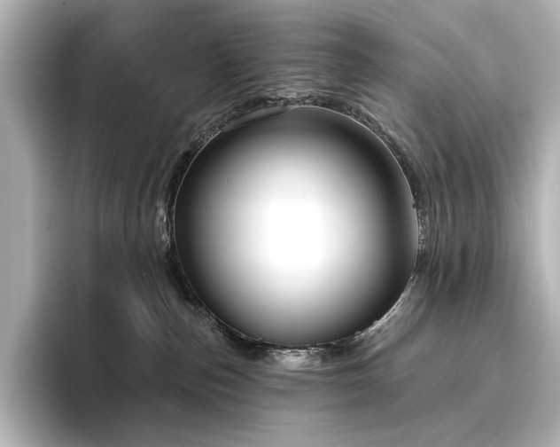 X0000096450187200801241426