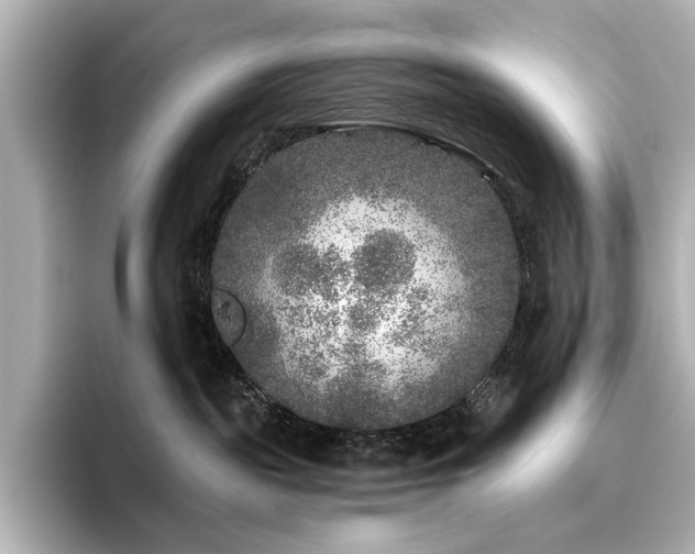 X0000096450189200801241426