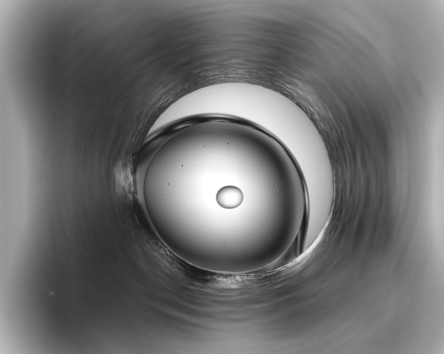 X0000096450190200801241426
