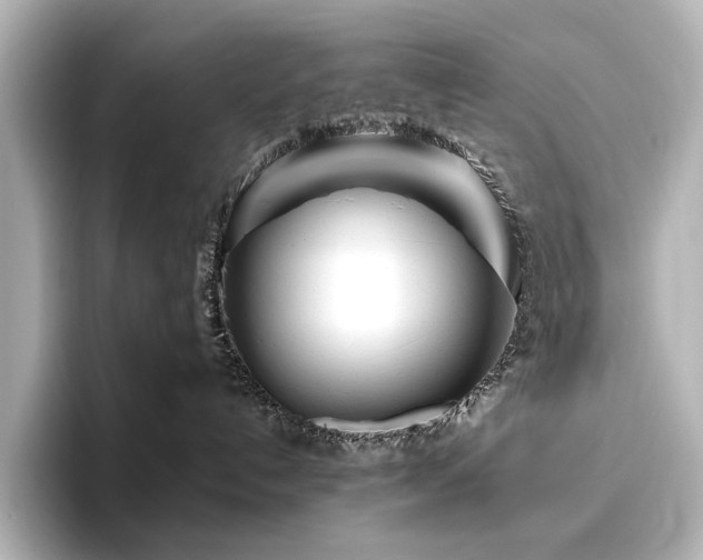 X0000096450192200801241426