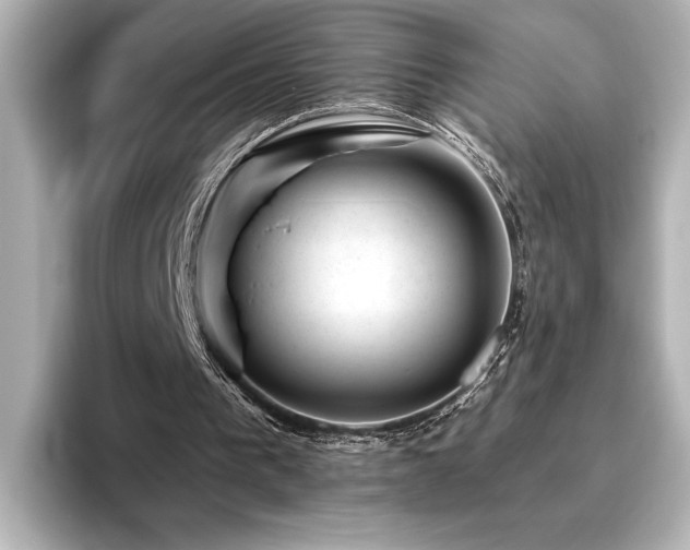 X0000096450193200801241425
