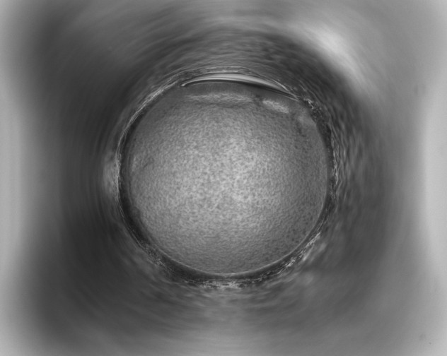 X0000096450194200801241425