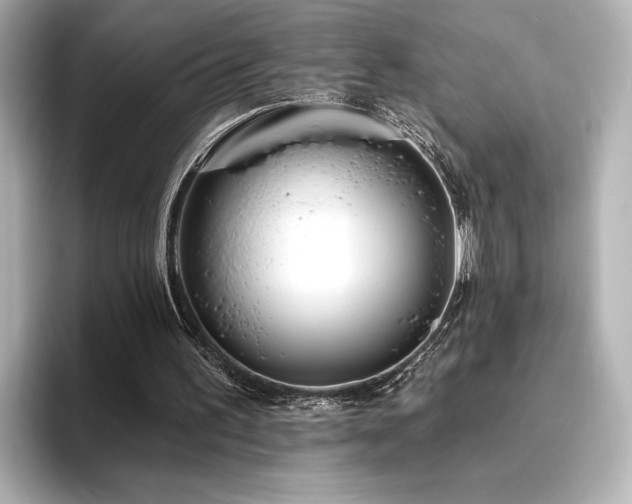 X0000096450195200801241425