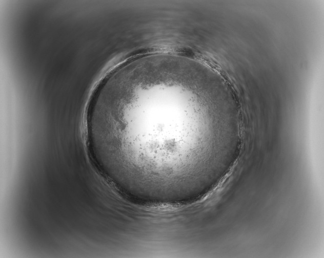 X0000096450198200801241425