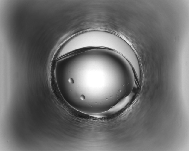 X0000096450199200801241425