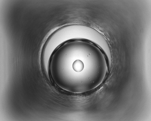 X0000096450200200801241425