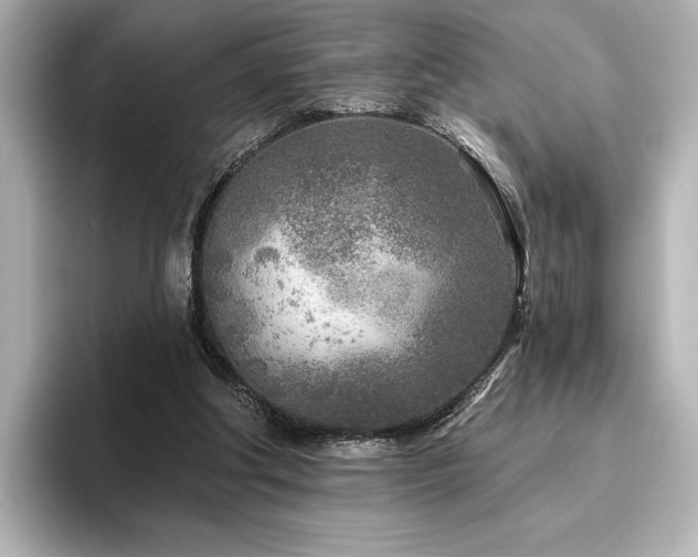 X0000096450202200801241425