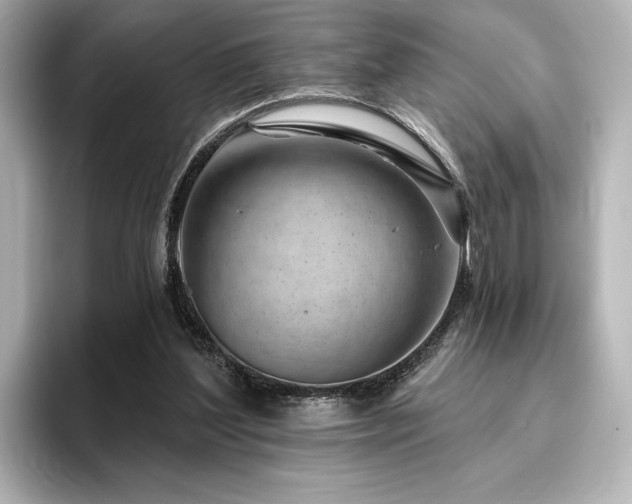 X0000096450204200801241425