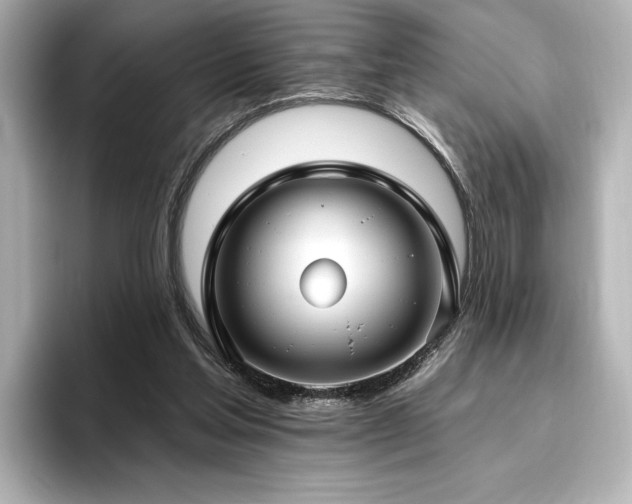 X0000096450205200801241425