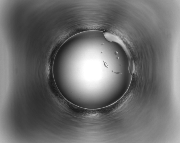 X0000096450206200801241425