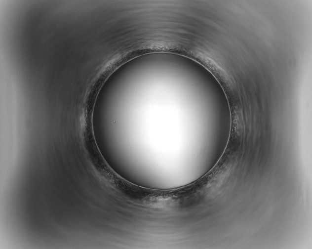 X0000096450208200801241425