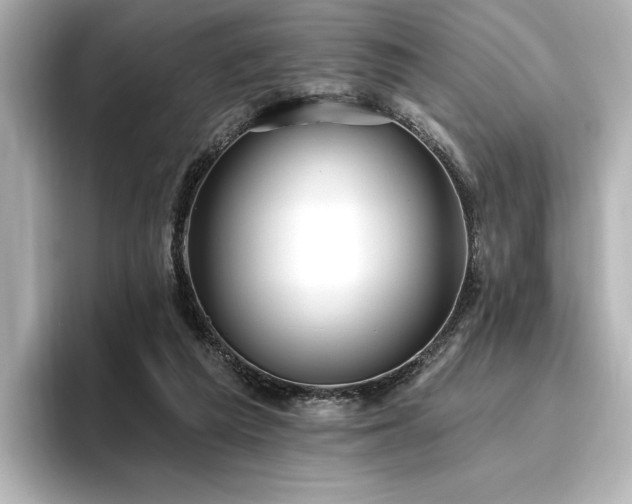 X0000096450209200801241425