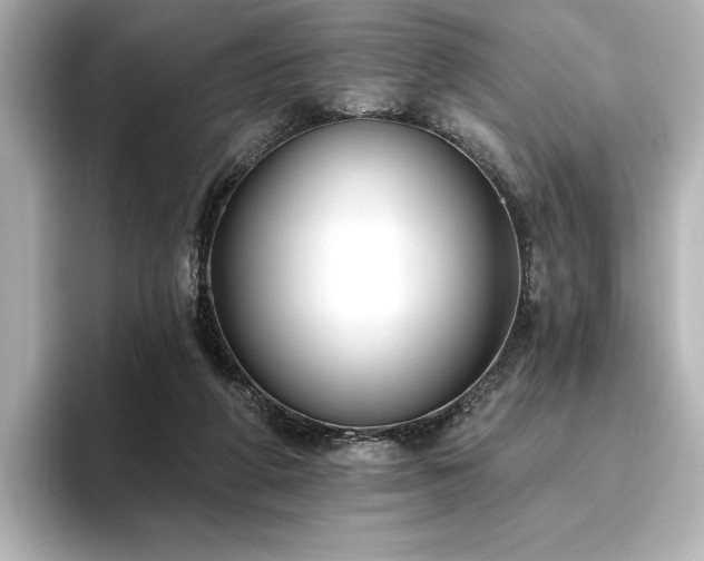 X0000096450210200801241425