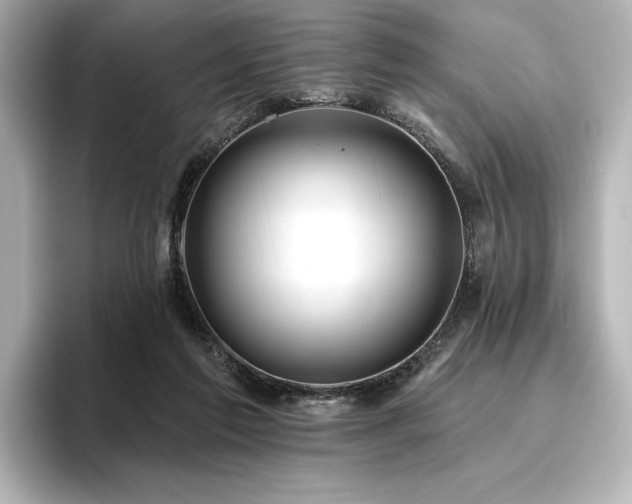 X0000096450213200801241425