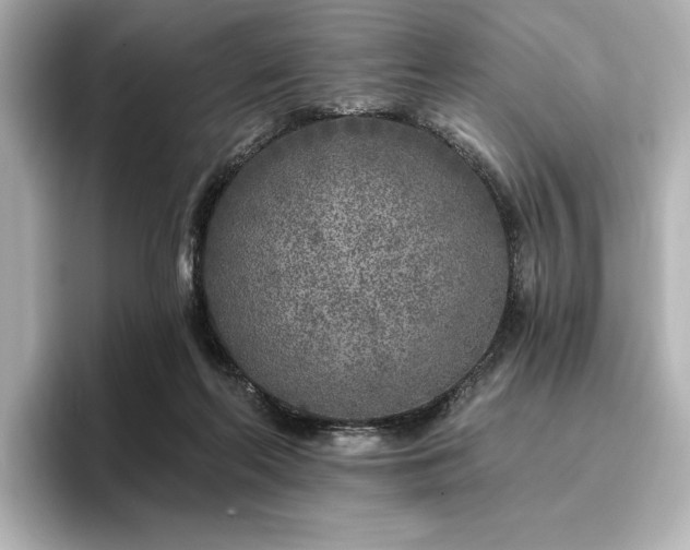 X0000096450214200801241425