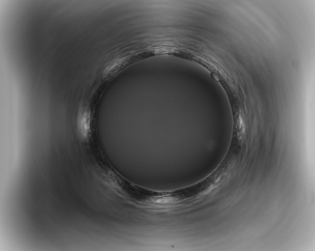 X0000096450219200801241425