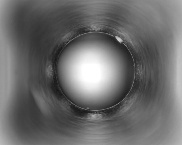 X0000096450220200801241425