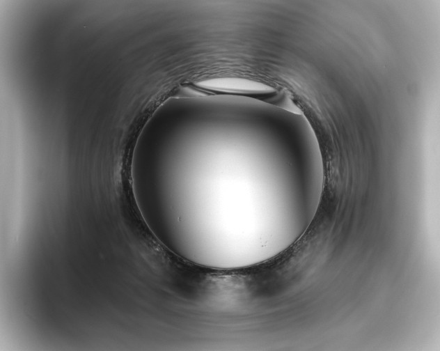 X0000096450221200801241425