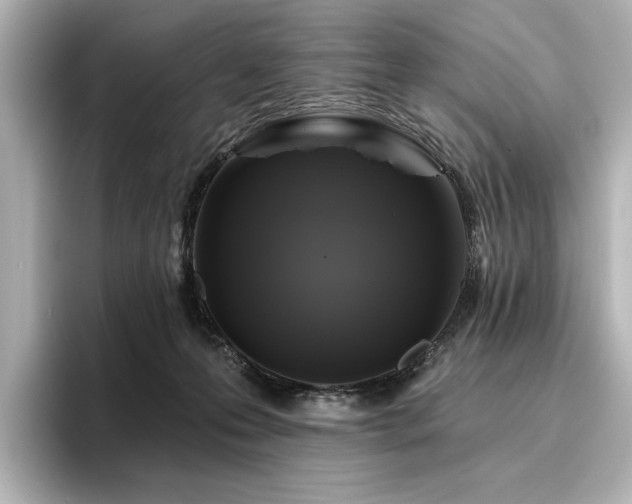 X0000096450223200801241425
