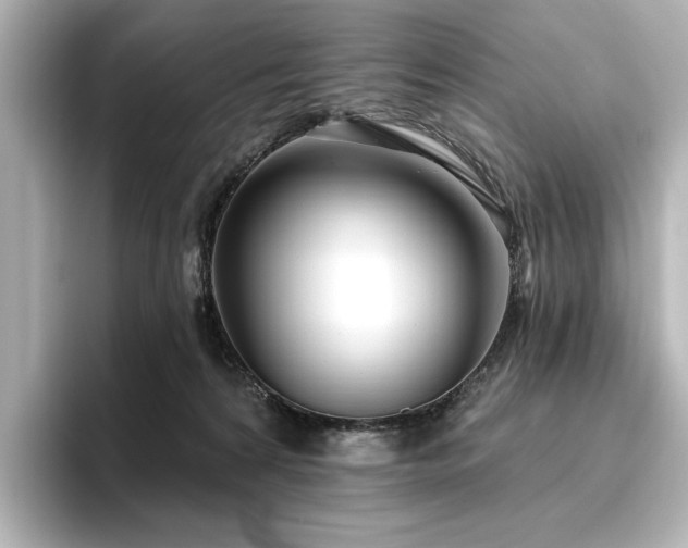 X0000096450224200801241425