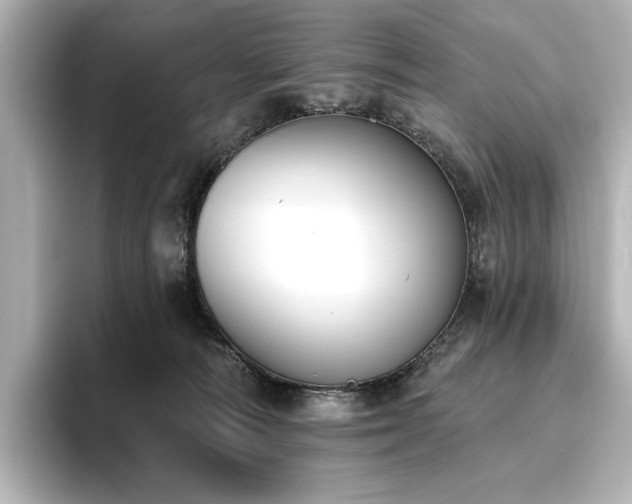 X0000096450226200801241425
