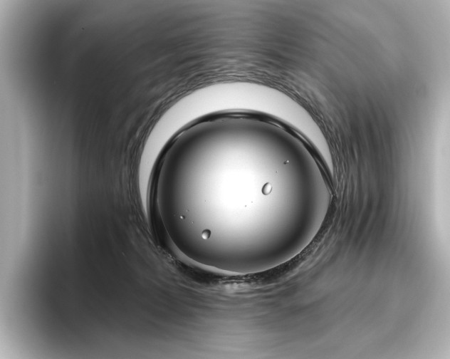 X0000096450228200801241425