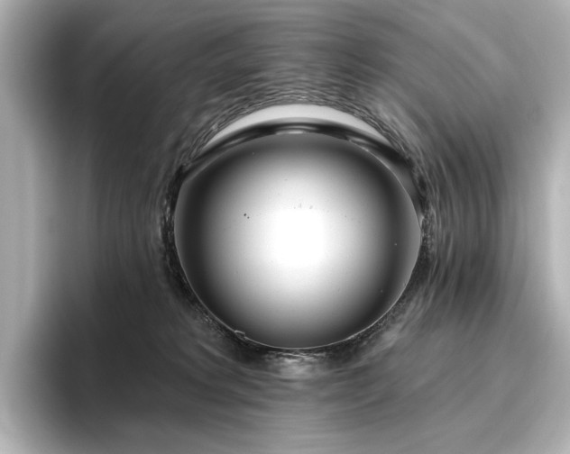 X0000096450229200801241425