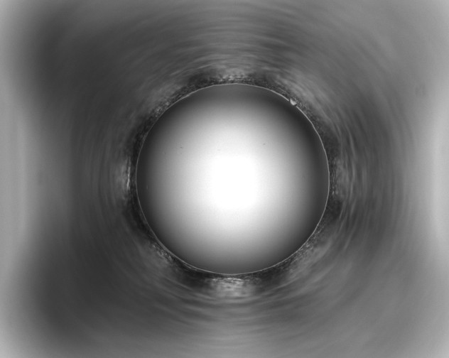 X0000096450230200801241425
