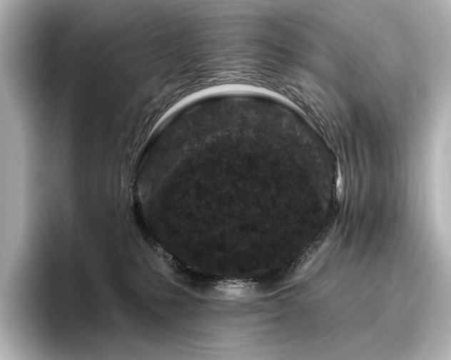 X0000096450231200801241425