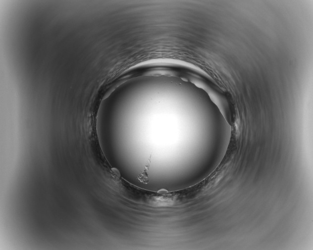 X0000096450232200801241425