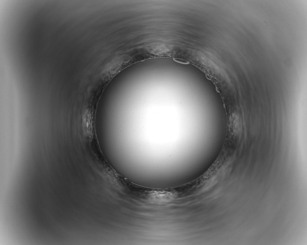 X0000096450234200801241425