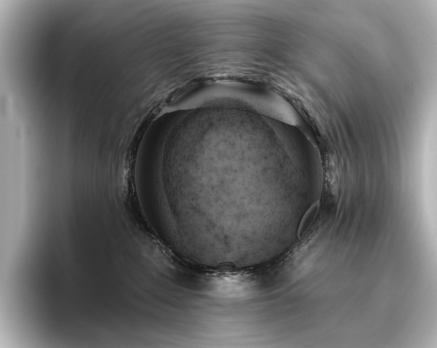 X0000096450235200801241425