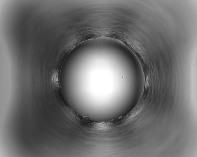 X0000096450238200801241425