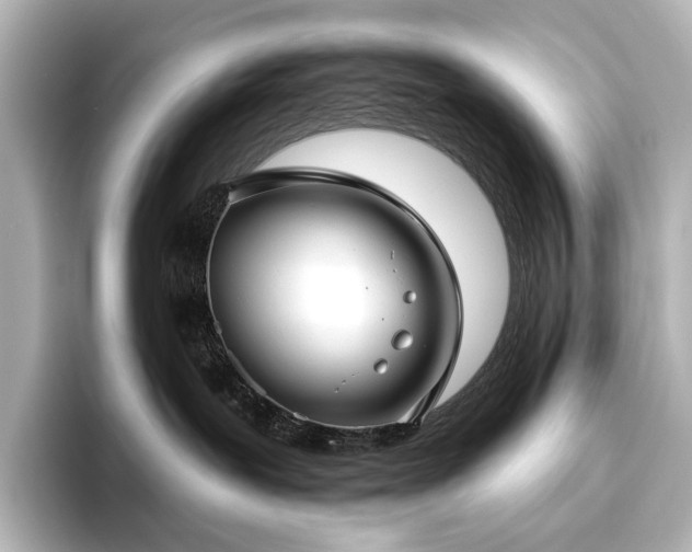 X0000096450239200801241425