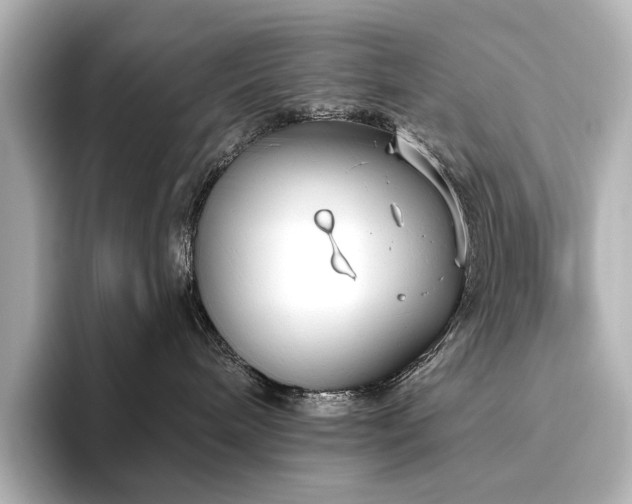 X0000096450240200801241425