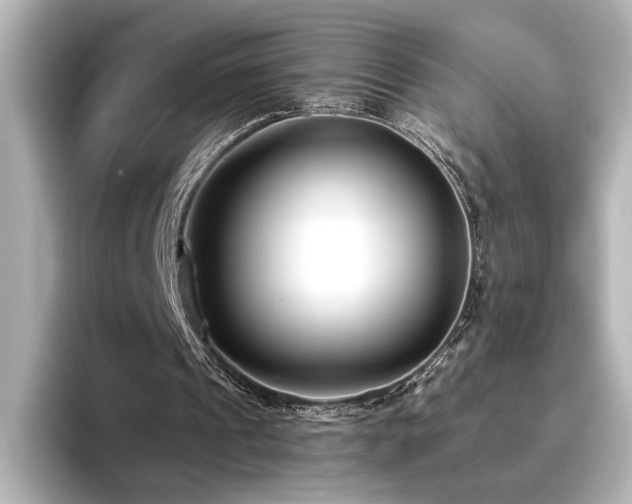 X0000096450241200801241424