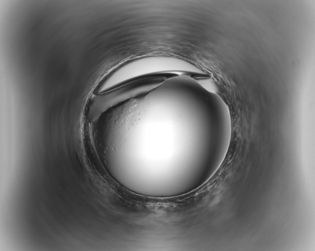 X0000096450242200801241424
