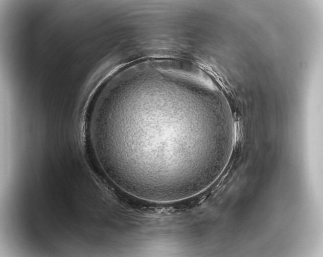 X0000096450243200801241424