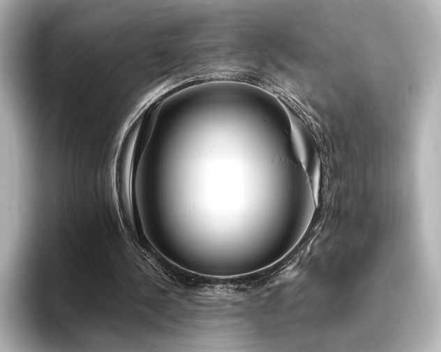 X0000096450244200801241424