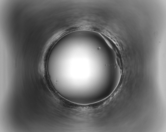 X0000096450245200801241424