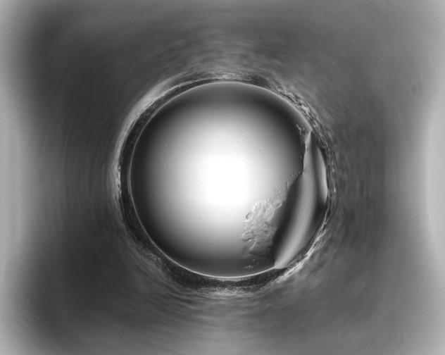 X0000096450246200801241424