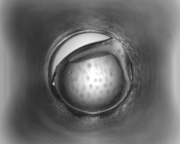 X0000096450247200801241424