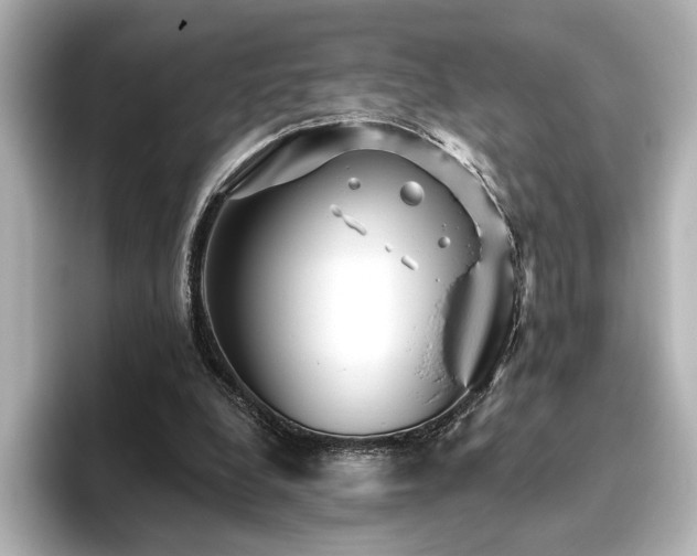 X0000096450248200801241424