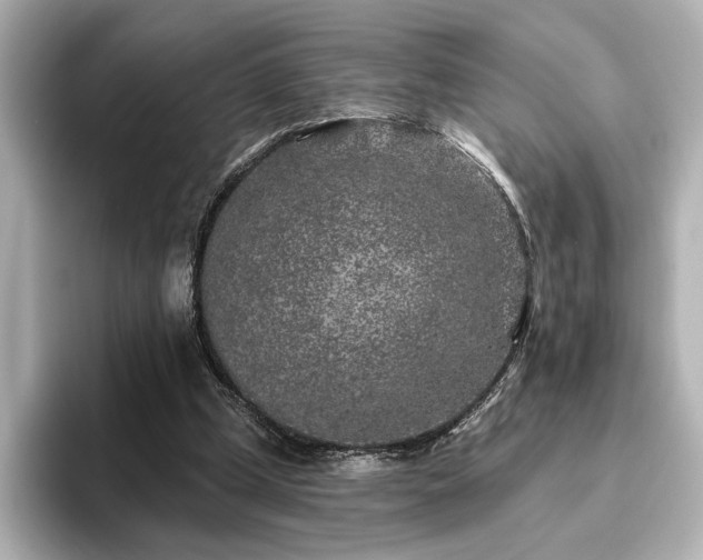 X0000096450249200801241424