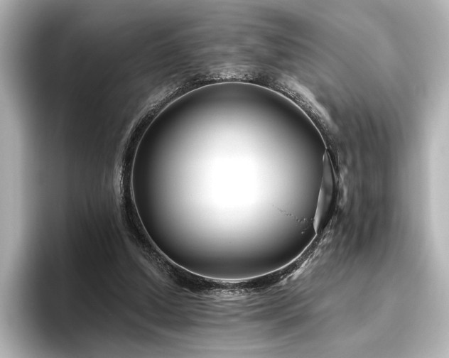 X0000096450250200801241424