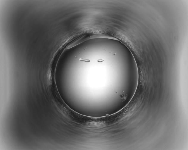 X0000096450251200801241424