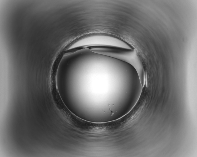 X0000096450252200801241424