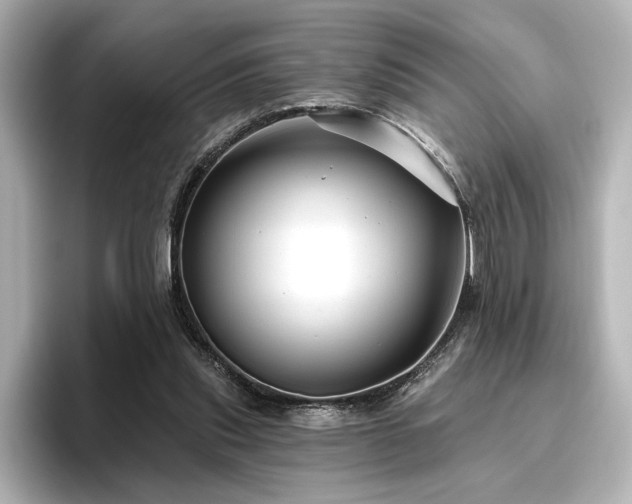 X0000096450253200801241424