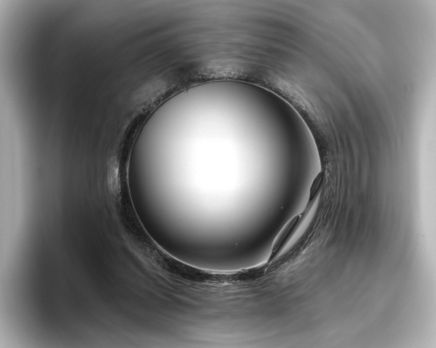 X0000096450254200801241424