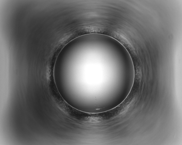 X0000096450255200801241424